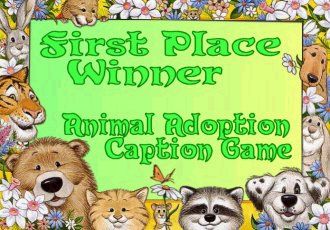 Animal Adoption & Rescue Contest 1st Place Award
