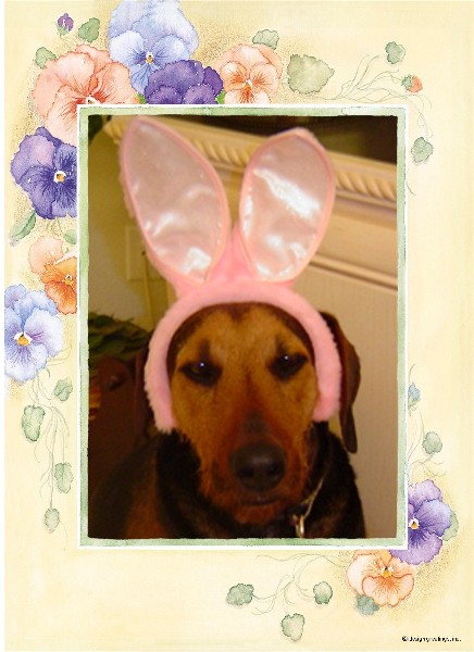 Emmy's Easter Ears