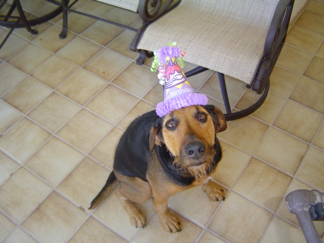 Emmy Hating Her Party Hat