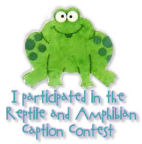 Reptile Contest Participation Award