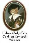 Indoor Cat Participation Award