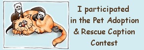 Pet Adoption & Rescue Caption Contest