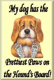 Pretty Paws - 1st Place 