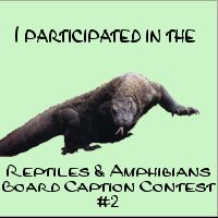 Reptiles & Amphibians Caption Contest Award