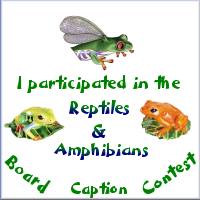 Reptiles Caption Contest Participation Award