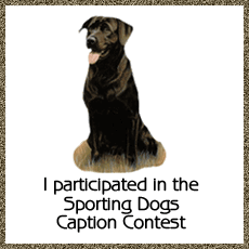 Sporting Dogs Participation Award