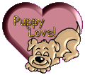 Valentine Puppy Love